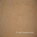 5 mm 9 mm Prix Birch Veneer Plywood commercial